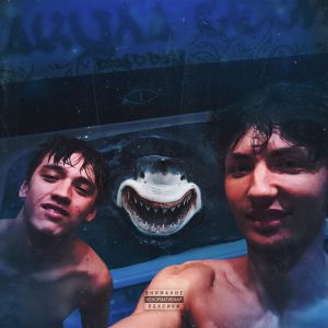 Album АКУЛА (Explicit) from 