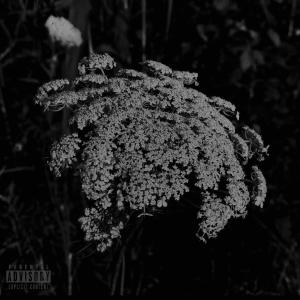 Don Darko的專輯Flowers When The Rain Gone (feat. Mijo & twoTurbo) [Explicit]