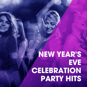 Album New Year's Eve Celebration Party Hits oleh Various