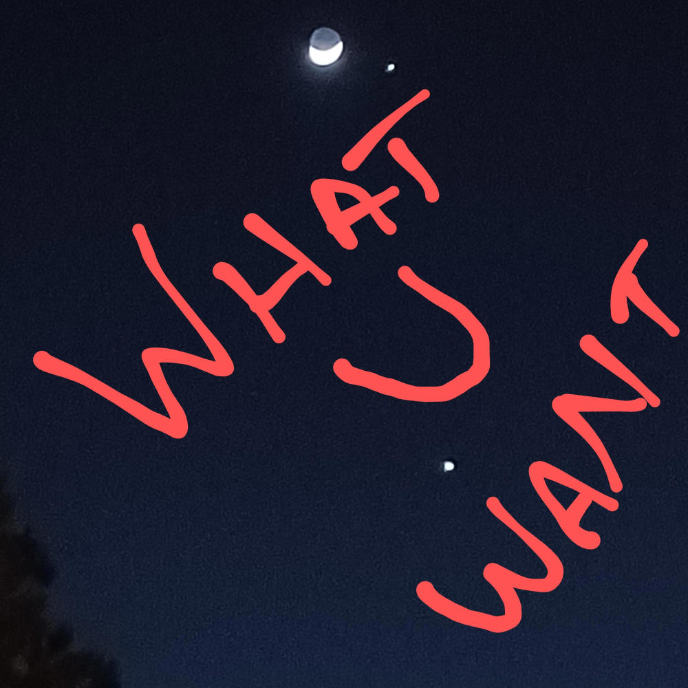 WHAT U WANT (Explicit)