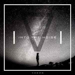 Listen to Into the Noise (Original Mix) song with lyrics from VOKOR