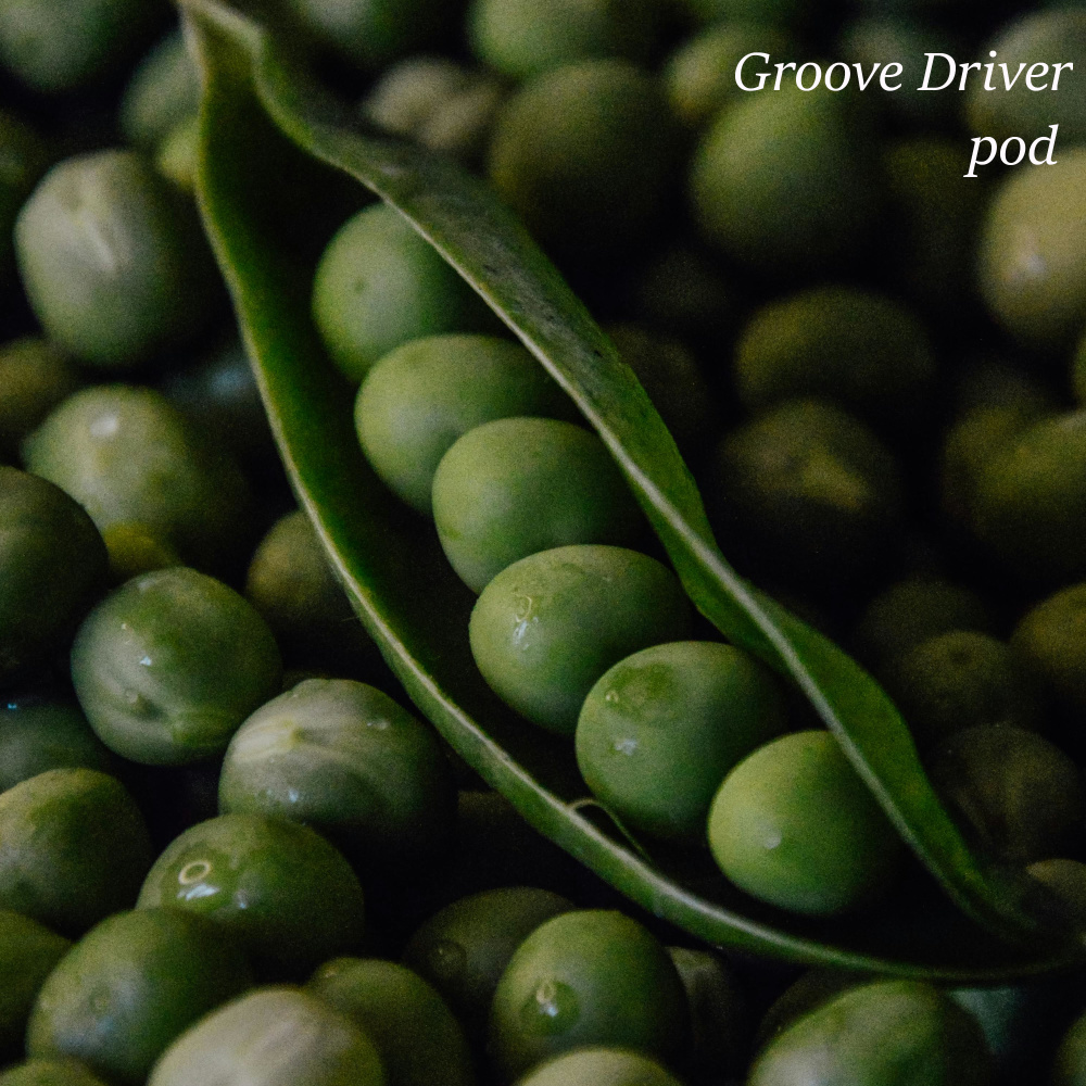 pod