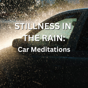 Stillness In The Rain: Car Meditations