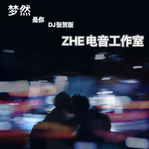 收聽張賀的是你 (張賀 remix) (Remix)歌詞歌曲