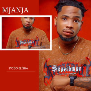 Album Mjanja from Dogo Elisha