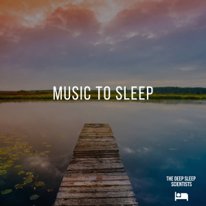 Listen to Baby Sleeping Music song with lyrics from The Deep Sleep Scientists