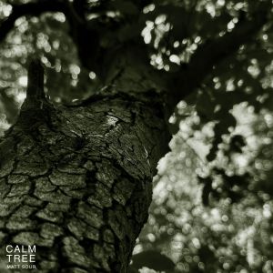 Matt Sour的專輯Calm Tree