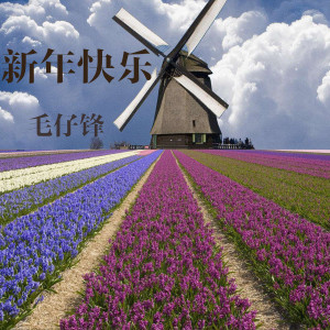 收聽毛茗宇的新年快樂 (和聲伴奏)歌詞歌曲