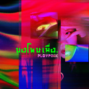 อัลบัม ขอโทษเพื่อ - Single ศิลปิน PLOYPINK