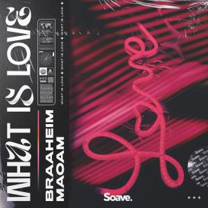 Listen to What Is Love song with lyrics from Braaheim