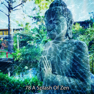 Album 78 A Splash Of Zen from Outside Broadcast Recordings
