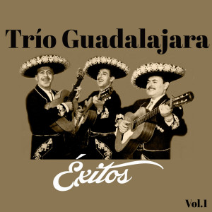 Listen to Que Le Quiten el Tapón song with lyrics from Trio Guadalajara