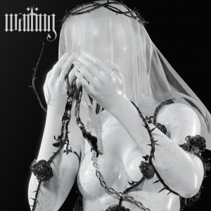ดาวน์โหลดและฟังเพลง Waiting พร้อมเนื้อเพลงจาก Blankface