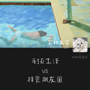 Album 毛坯生活vs精装朋友圈 from 芒什么芒