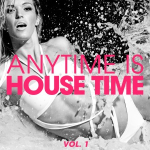 Album Anytime Is House Time, Vol. 1 from Various