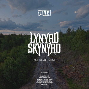 Listen to Freebird (Live) song with lyrics from Lynyrd Skynyrd