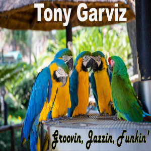 Dengarkan lagu Versace on the Floor nyanyian Tony Garviz dengan lirik