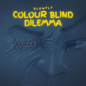 ดาวน์โหลดและฟังเพลง Colour blind dilemma พร้อมเนื้อเพลงจาก Slowfly