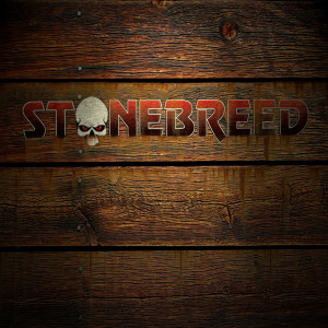ดาวน์โหลดและฟังเพลง Im Gone พร้อมเนื้อเพลงจาก Stonebreed