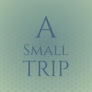Album A Small Trip oleh Silvia Natiello-Spiller