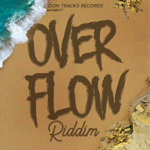 Various Artists的專輯Overflow Riddim