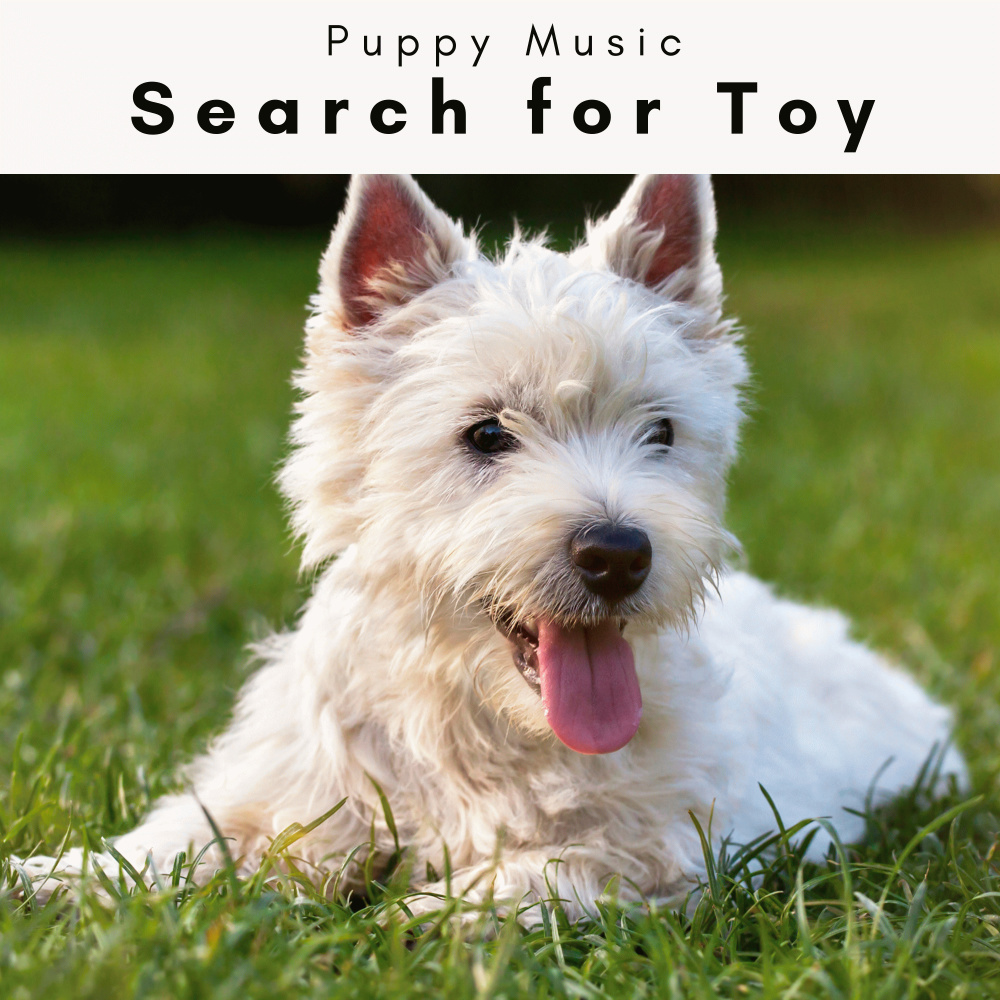 Calming Sounds for Energetic Puppy