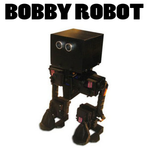 Album Bobby Robot from 