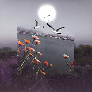 收聽Ixodotis的Dynami歌詞歌曲