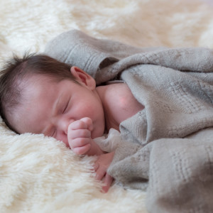 Nocturnal Comfort: Nature's Crickets at Night for Baby Serenity ASMR