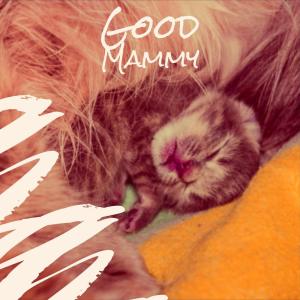 Album Good Mammy from Various