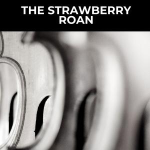 The Strawberry Roan