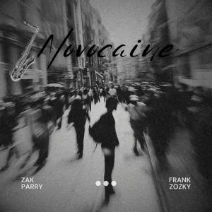 收聽NO PROBL3M的Novocaine (feat. Frank Zozky)歌詞歌曲