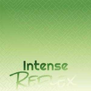 Album Intense Reflex from Various