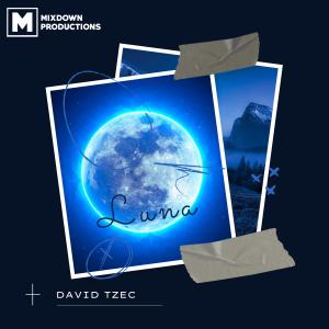 David Tzec的專輯Luna