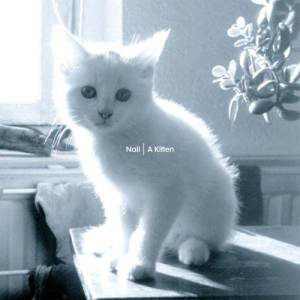 收聽Nail的Slap My Ass歌詞歌曲