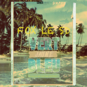 Listen to Vert Jaune Bleu (Explicit) song with lyrics from Fox Le SD