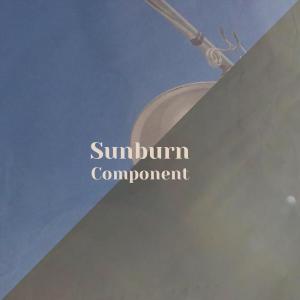 Dengarkan lagu Sunburn Component nyanyian Trie Winy dengan lirik
