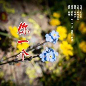 Album 你一个 from 张强