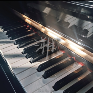 Album 钢琴 from 辰单纯