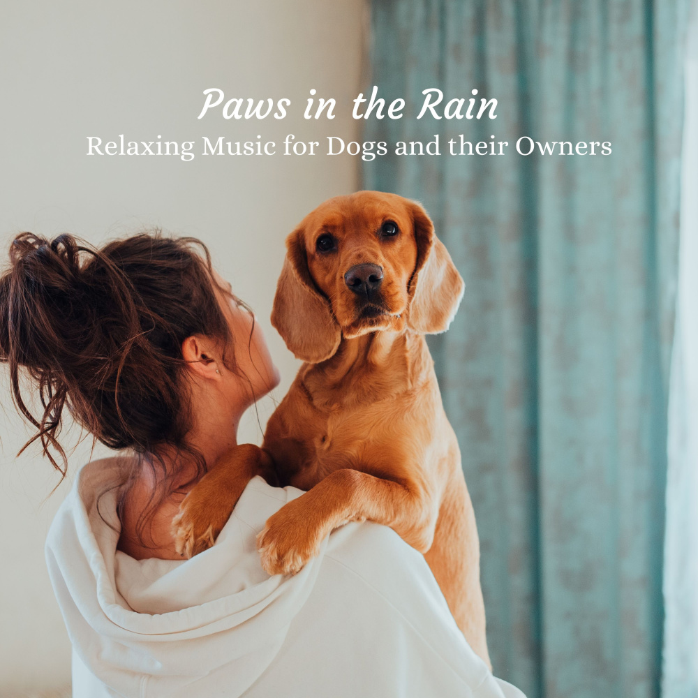 Light Rain Music to Reduce Stress