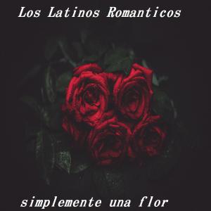 收聽Los Latinos Románticos的Siempre Estoy Pensando En Ella歌詞歌曲