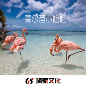 Listen to 麦尔彦小姐姐（抖音DJ版） (完整版) song with lyrics from M.R.Y麦尔彦
