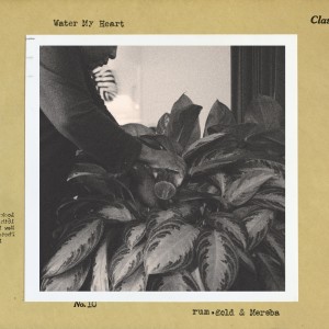 Dengarkan lagu Water My Heart (feat. Mereba) nyanyian Rum.Gold dengan lirik