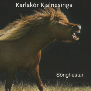 Listen to Áfram song with lyrics from Karlakór Kjalnesinga