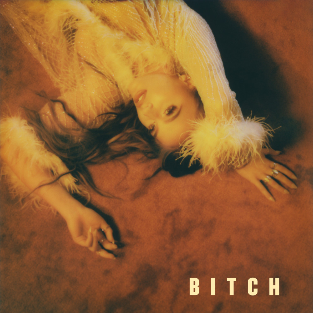 BITCH (takes one to know one) (Explicit)