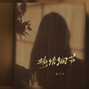 ดาวน์โหลดและฟังเพลง 输给细节 พร้อมเนื้อเพลงจาก 赵乃吉