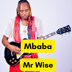 Mbaba dari Mr Wise