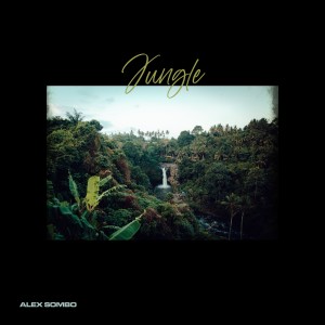 Album Jungle from Alex Sombo