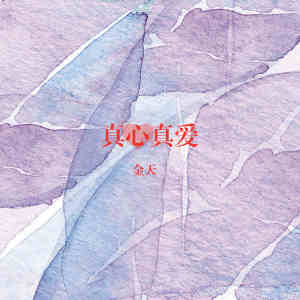 Listen to 真心真爱 song with lyrics from 金天