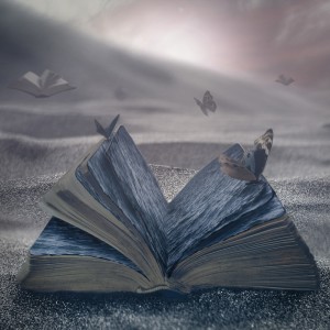 Listen to Enjoy story song with lyrics from NAOKI